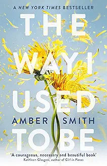 The Way I Used To Be by Amber Smith