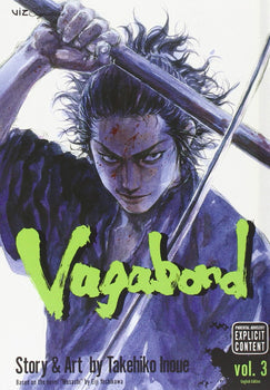 Vagabond, Vol. 3